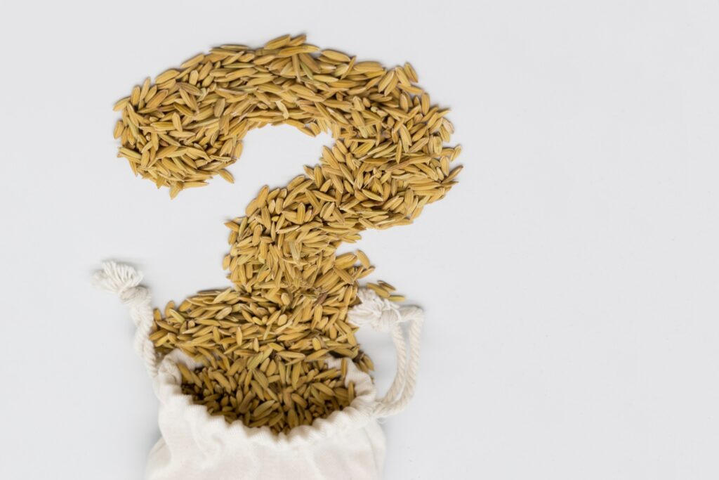 2025년 쌀값 인상 원인에 대한 의문을 상징하는 쌀알과 물음표